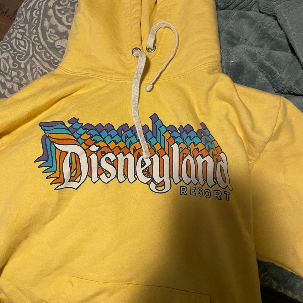 disneyland hoodie